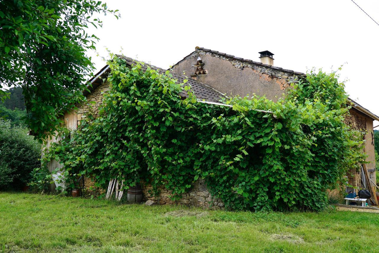Siorac-en-Périgord La Prairie 빌라 외부 사진